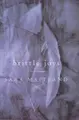 Cover image for Brittle joys