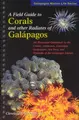 Cover image for A field guide to corals and other radiates of Galapagos