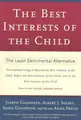 Cover image for The Best Interests of the Child