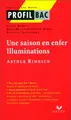 Cover image for Une saison en enfer. Illuminations de Arthur Rimbaud