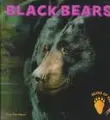 Cover image for Black bears