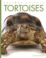 Cover image for Tortoises