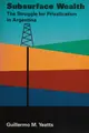 Cover image for Subsurface wealth