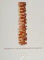 Cover image for Pearson custom business resources