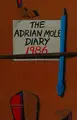 Cover image for The Adrian Mole diary, 1986.