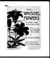 Cover image for Wayside flowers