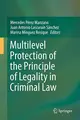 Cover image for Multilevel Protection of the Principle of Legality in Criminal Law