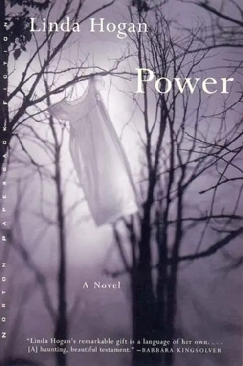 Power: A Novel cover