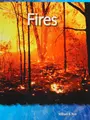Cover image for Fires