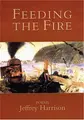 Cover image for Feeding the fire