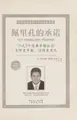 Cover image for Pei li kong de cheng nuo