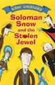 Cover image for Solomon Snow and the Stolen Jewel