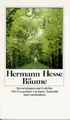 Cover image for Bäume. Betrachtungen und Gedichte.