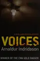 Cover image for Voices