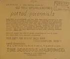 Cover image for Potted perennials
