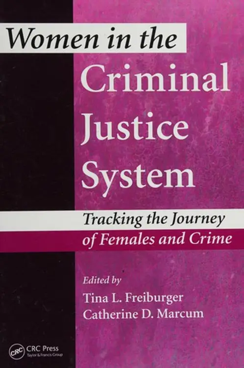 Women in the Criminal Justice System: Tracking the Journey of Females and Crime cover
