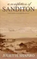 Cover image for A Completion of Sanditon, Jane Austen's Unfinished Novel