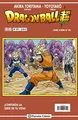 Cover image for Dragon Ball Serie Roja nº 291