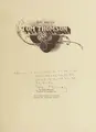Cover image for The art of Tom Thomson