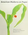 Cover image for American moderns on paper