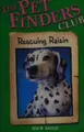 Cover image for Rescuing Raisin