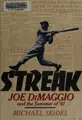 Cover image for Streak
