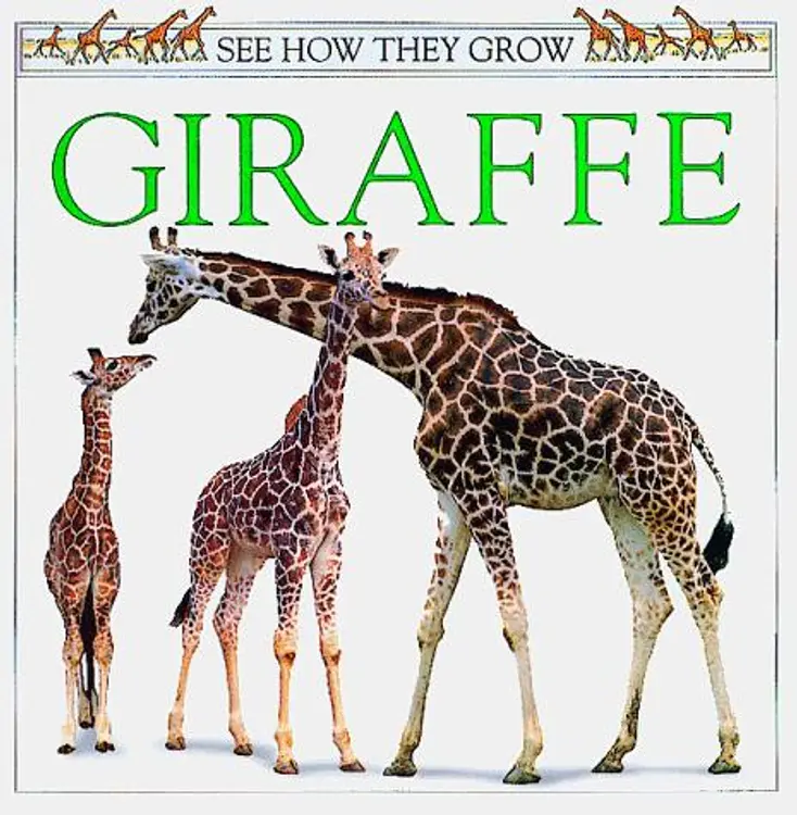 See How They Grow: Giraffe cover