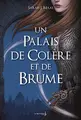 Cover image for Un Palais de colère et de brume