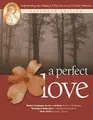 Cover image for A Perfect Love