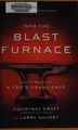 Cover image for Into the Blast Furnace