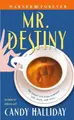 Cover image for Mr. Destiny (Warner Forever)
