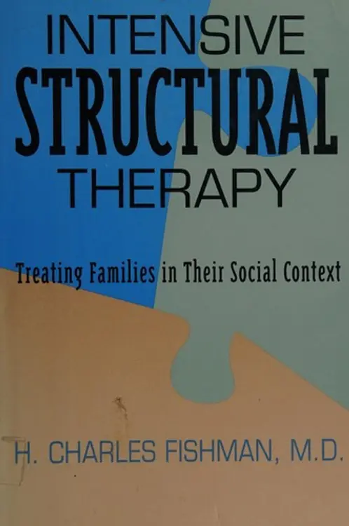 Intensive structural therapy: treating families in their social context cover