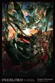 Cover image for Overlord, Vol. 14 (light Novel)