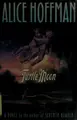 Cover image for Turtle moon