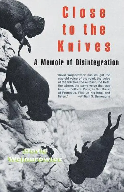 Close to the knives: a memoir of disintegration cover