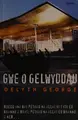 Cover image for Gwe o gelwyddau