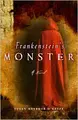 Cover image for Frankenstein's monster