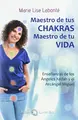 Cover image for Maestro de tus CHAKRAS,Maestro de tu VIDA