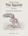 Cover image for The squirrel