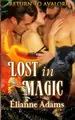 Cover image for Lost in Magic
