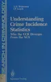 Cover image for Understanding crime incidence statistics