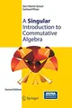 Cover image for A Singular Introduction to Commutative Algebra