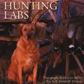 Cover image for Hunting Labs