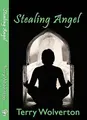 Cover image for Stealing Angel