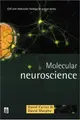 Cover image for Molecular Neuroscience (Cell & Molecular Biology in Action)