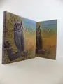 Cover image for The owls of Southern Africa