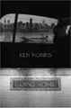 Cover image for Going Home