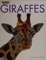 Cover image for Giraffes