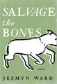 Cover image for Salvage the Bones
