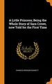Cover image for A Little Princess; Being the Whole Story of Sara Crewe, Now Told for the First Time